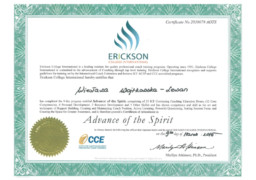 Ericson_Advance_of_the_Spirit